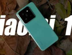 Harga Xiaomi 15 Mengupas Tuntas Penentuan Harga dan Prospek di Pasar Global
